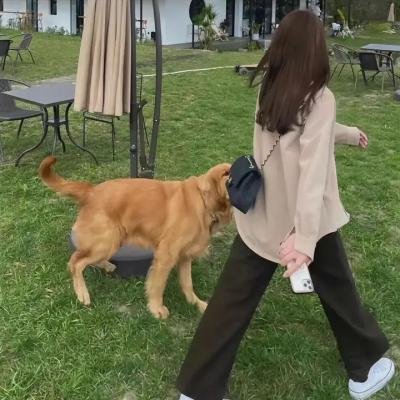 神探狄仁杰前传